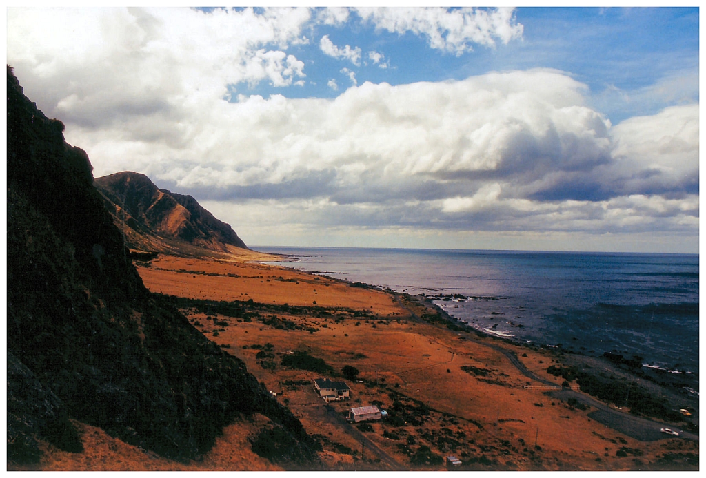 07 - Cap Palliser (1).jpg